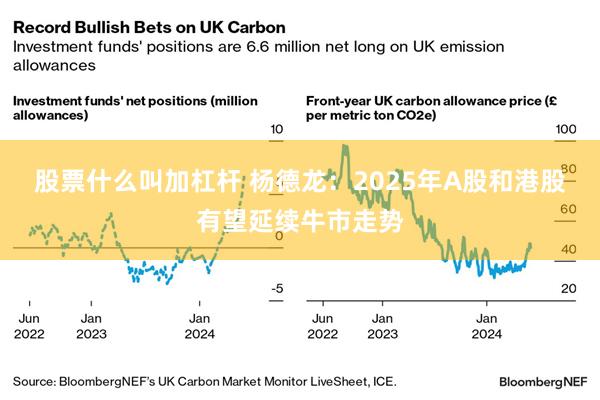 股票什么叫加杠杆 杨德龙：2025年A股和港股有望延续牛市走势