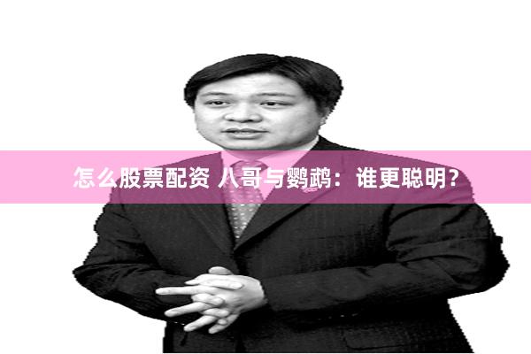 怎么股票配资 八哥与鹦鹉：谁更聪明？