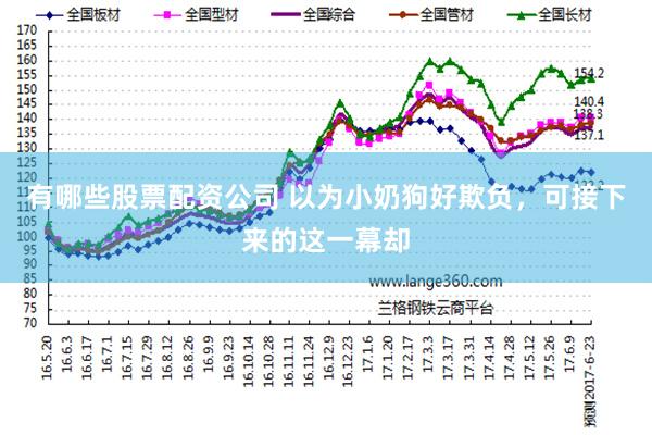 有哪些股票配资公司 以为小奶狗好欺负，可接下来的这一幕却