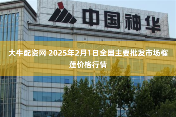 大牛配资网 2025年2月1日全国主要批发市场榴莲价格行情