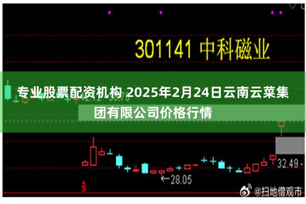 专业股票配资机构 2025年2月24日云南云菜集团有限公司价格行情