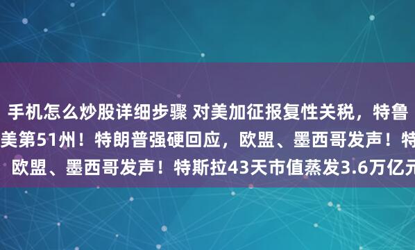 手机怎么炒股详细步骤 对美加征报复性关税，特鲁多：不会退缩，永不当美第51州！特朗普强硬回应，欧盟、墨西哥发声！特斯拉43天市值蒸发3.6万亿元