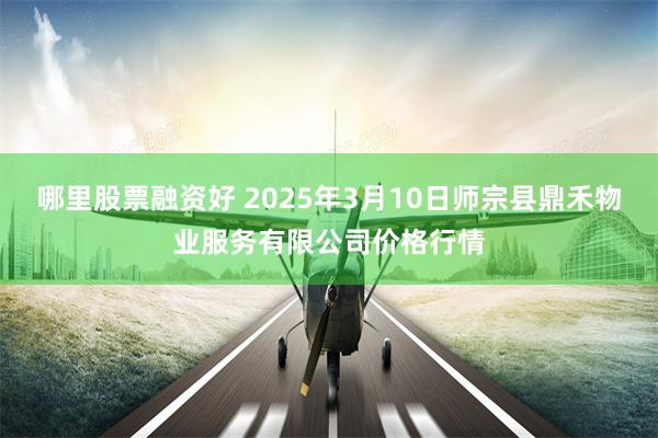 哪里股票融资好 2025年3月10日师宗县鼎禾物业服务有限公司价格行情